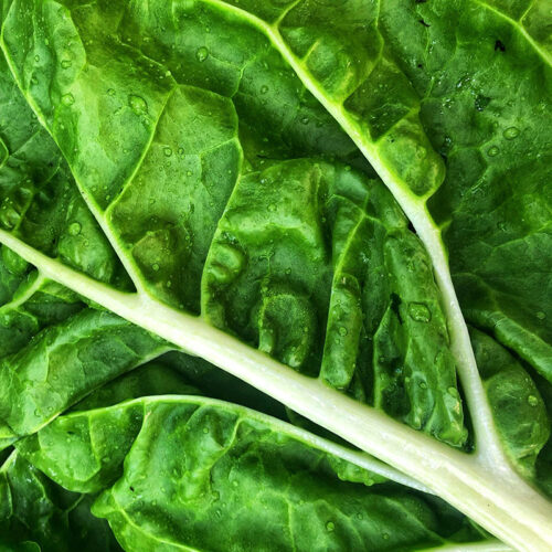 Spinach 600g Chopped and Washed